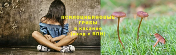 скорость Алексин