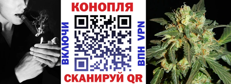 Конопля AK-47 Курлово
